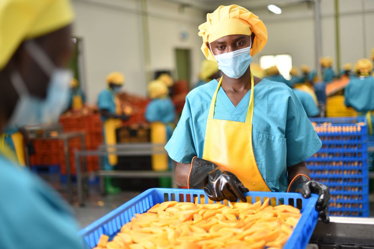 Contre la Faim et la Malnutrition tweet media