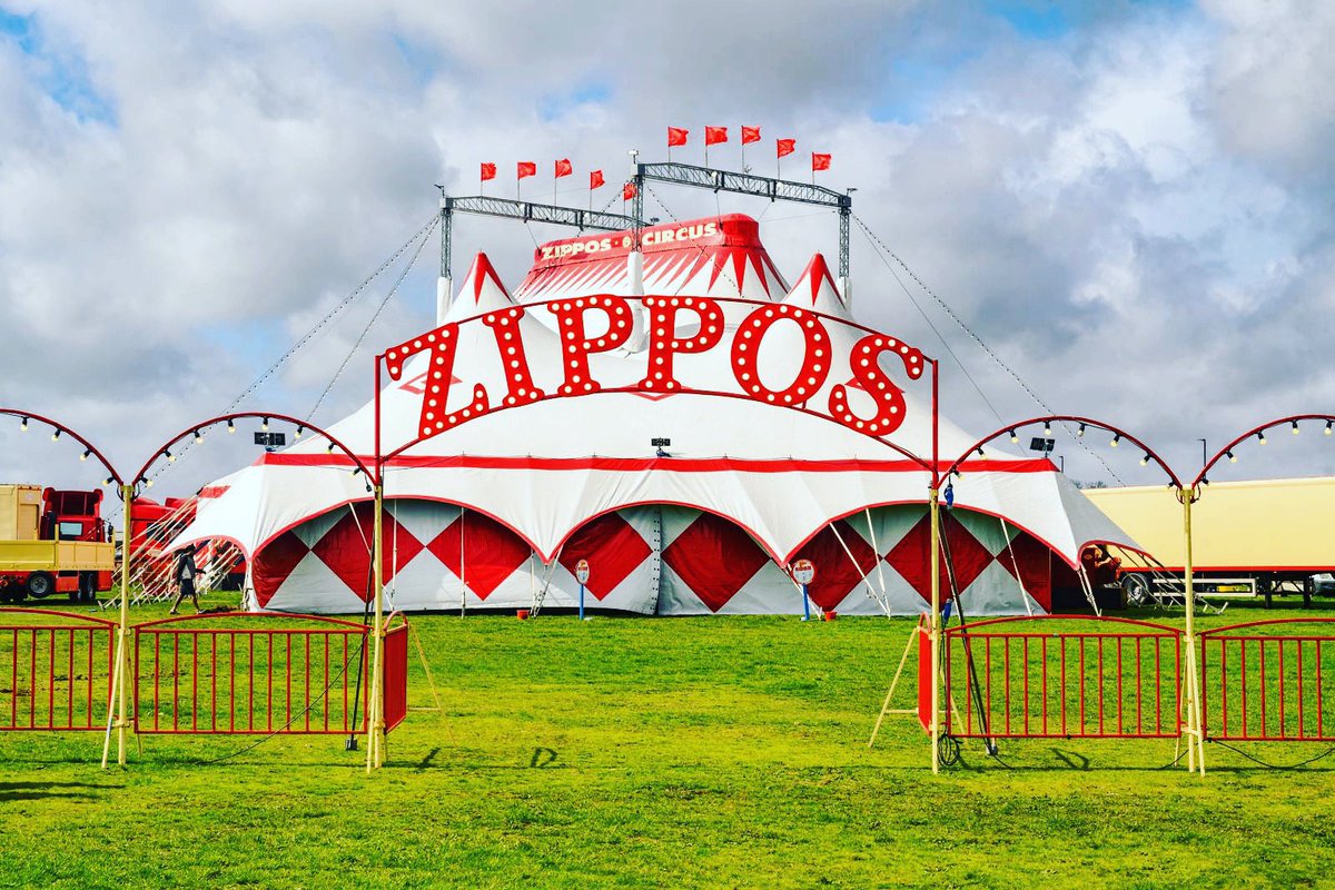 Pramstead_'s tweet photo. 🎪We are so excited @ZipposCircus is back on #HampsteadHeath from TODAY to October 29✨
Get 30% off your tickets using our special code ZC30 ❤️🎟️🎪✨🤗
https://t.co/PE4ckm7SK9
#circus #Hampstead #Highgate #familyfun #whatsonforkids #halfterm https://t.co/WB5PcW2yLx