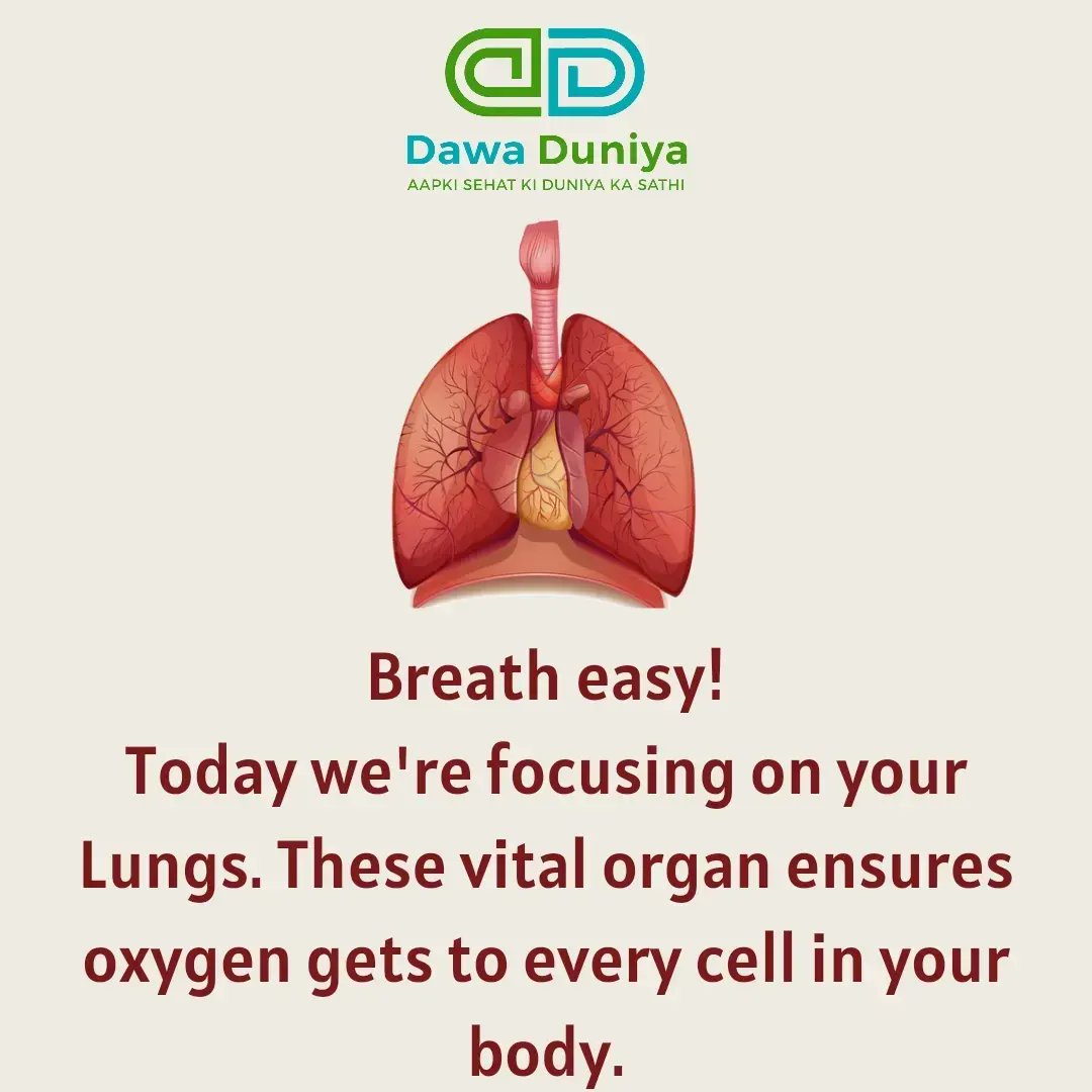 dawaduniya's tweet photo. Welcome to 10 days, 10 organ care
On day 5 let's learn about the organ which keeps us going by providing oxygen for our body.
That is Lungs.
Let's begin..
#lungs #lunghealth #healthylungs #avoidsmoking #oxygen #breath #deepbreathin #respiration #cardioworkout #lungcapacity https://t.co/mMO8YeMhhY