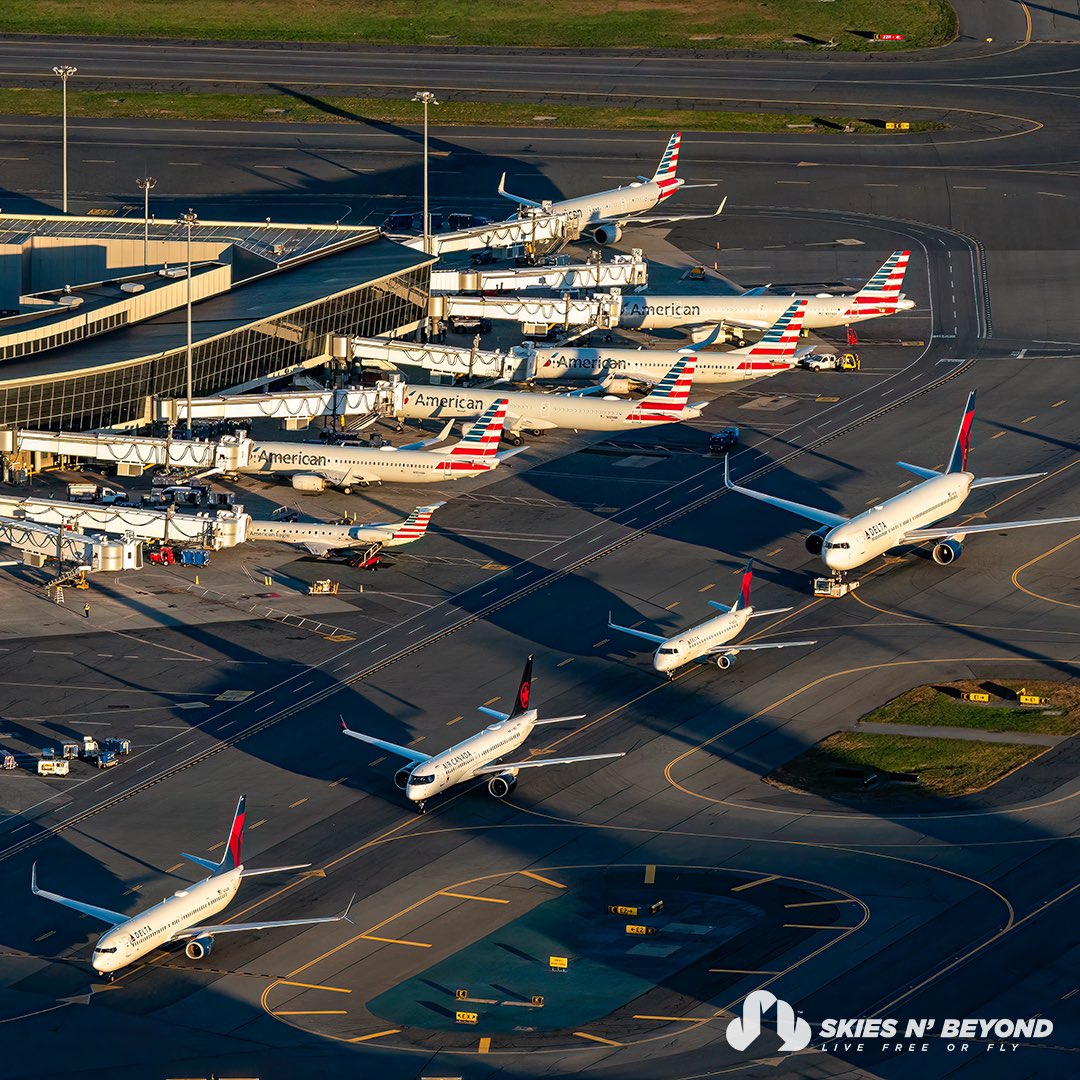 Golden Hour Line Up 😎✈️ #avgeek #aviationdaily #aviation
