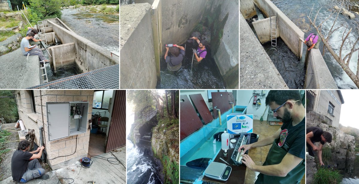 GEA Ecohidráulica tweet media