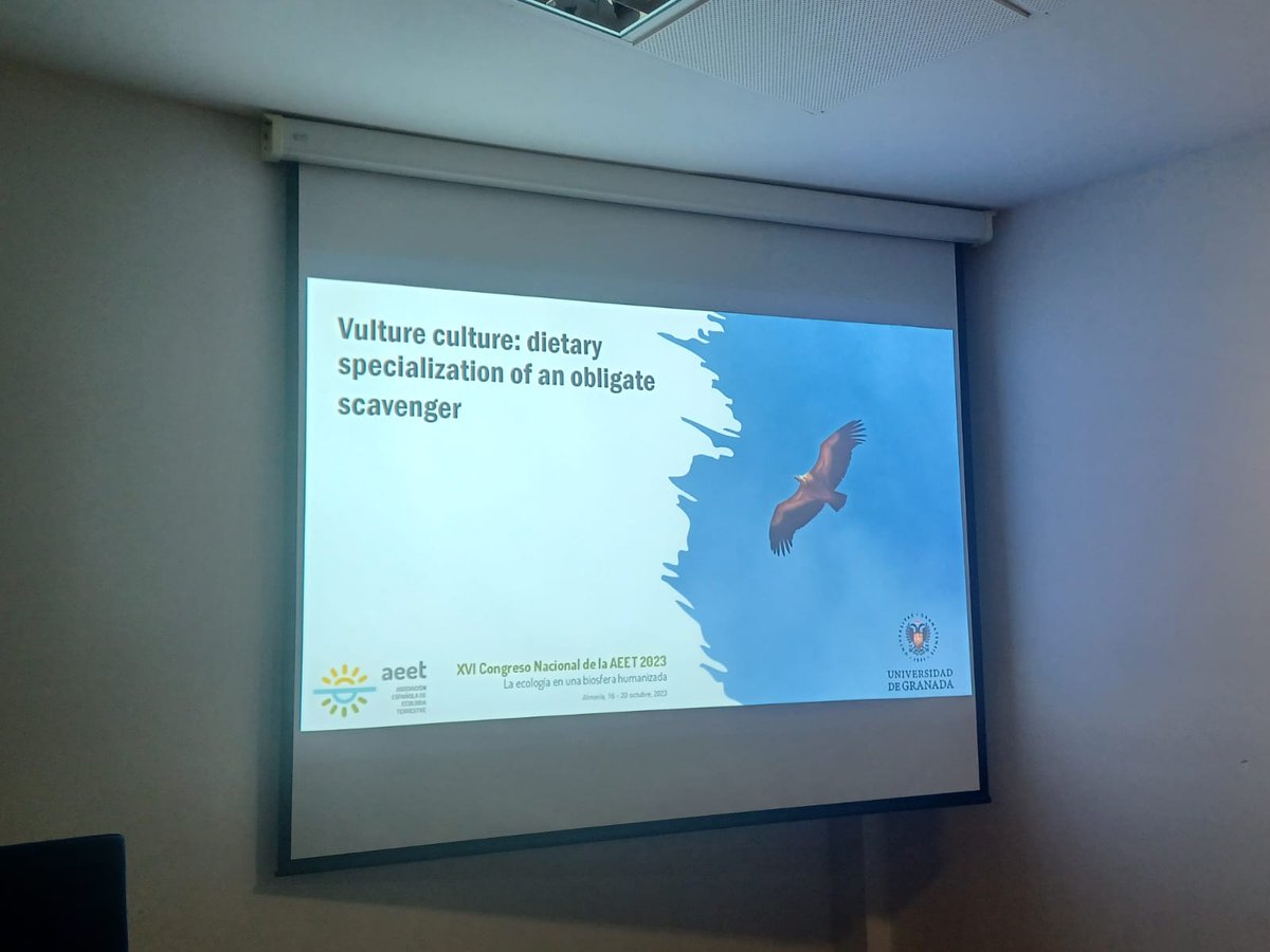 Y pa terminar, yo mismo hablando de mis buitres y su dieta. Exitazo de simposio! En 2025 repetimos! #AEET2023