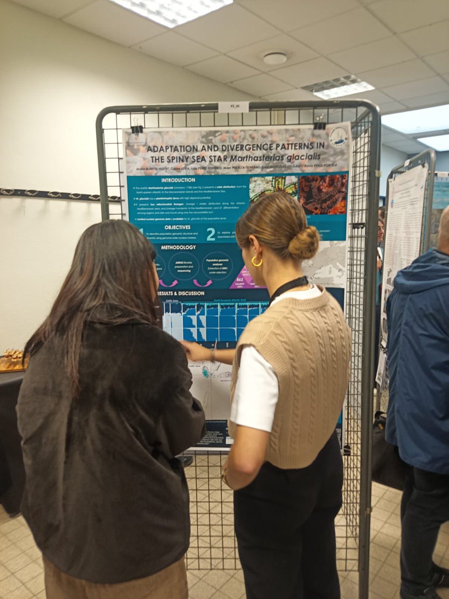 EchinoAdaptive's tweet image. Fourth day at #ECE11‼️

Last participation of our team, poster presentation of @huete_martin 💪🏼

#AdaptiveTeam #echinoderms #marineinvertebrates