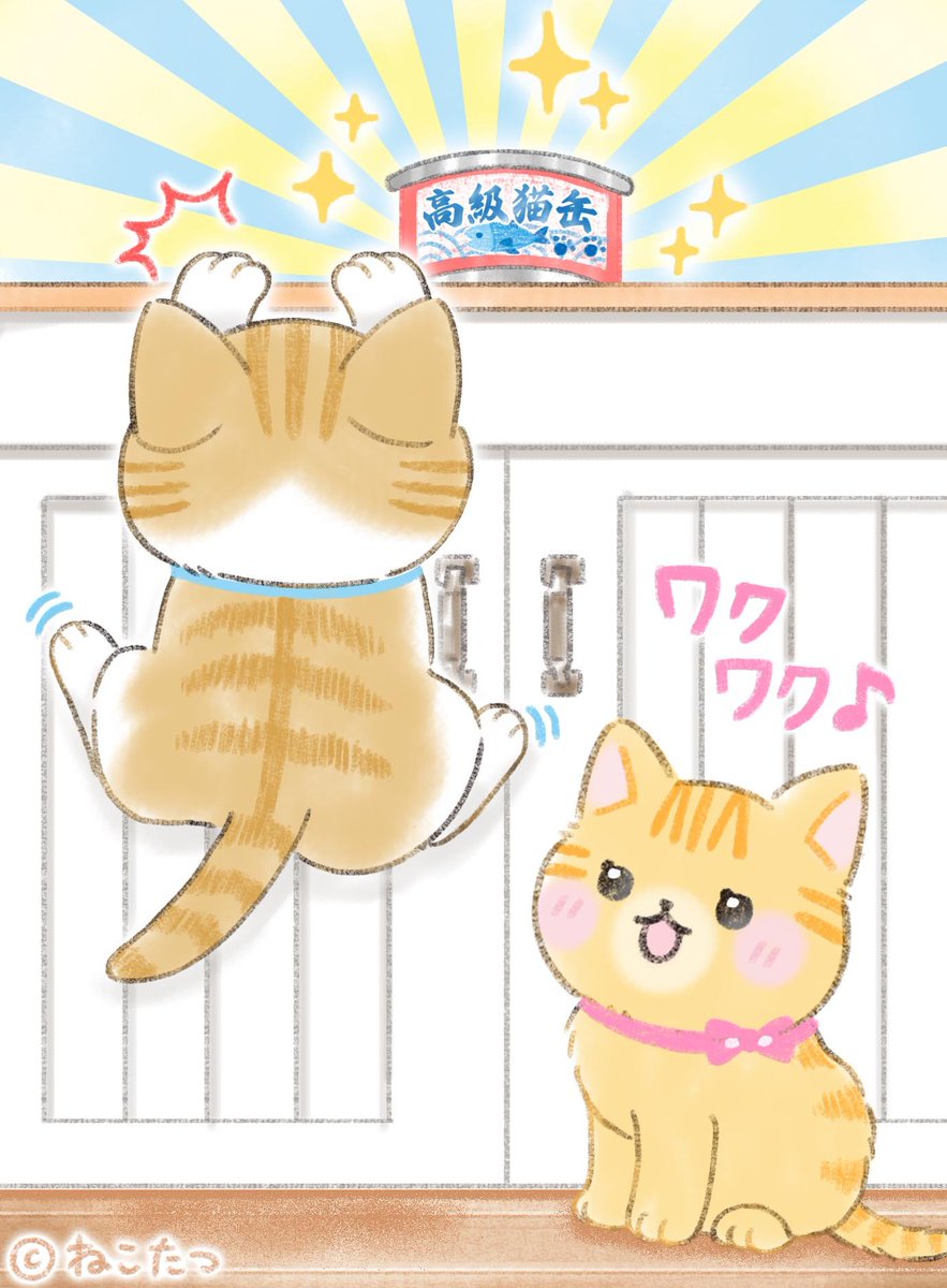 公式】ねこたつ 〜 いつでもそばにいるニャ。 (@nekotatsu5) / X
