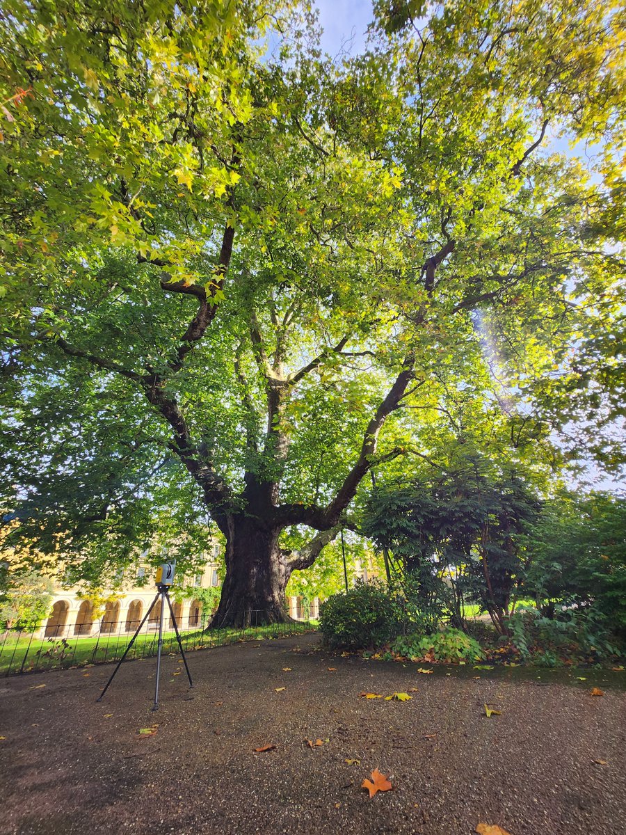 Laser_Surveys's tweet photo. Our surveyors in Oxford are scaling new heights - quite literally! They're utilising our extendable tripod paired with the Trimble X7, allowing us to efficiently capture data in several challenging locations. 📏

#laserscanning #surveying #trimblex7 #oxfordshire #oxford #tripod https://t.co/oNBYdb1cPL