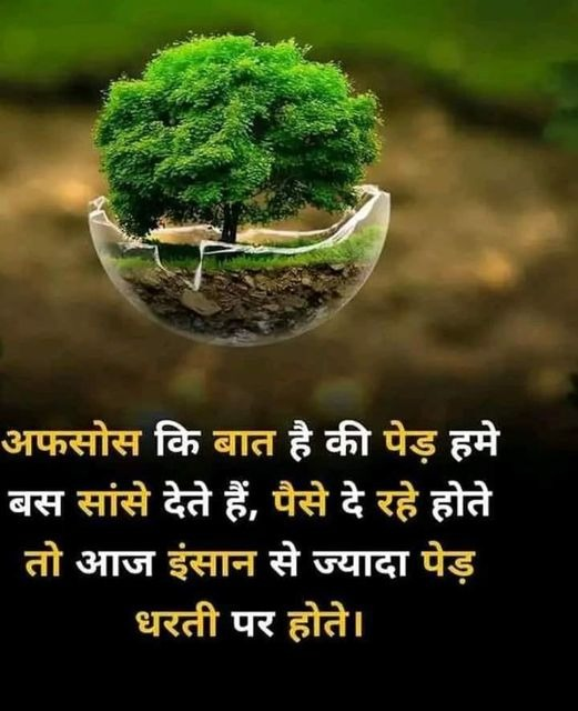 karuna_rajkot's tweet photo. पेड़ बचाओ, नहीं तो ऑक्सीजन खरीदनी पड़ेगी।
.
.
.
.
#karuna #karunfoundation #karunatalks #karunafoundationtrust #animalhelpine #mitalkhetani #gcci #globalconfederationofcowbasedindustries #samastmahajan #sadbhavnavrudhashram #shreejigaushala #savetrees #nature #trees #saveearth https://t.co/eISuZd9mur