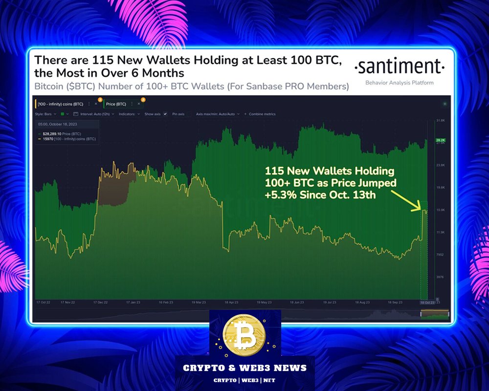 AboutCryptoNews's tweet image. 💰 It's noted that the number of #Bitcoinwallets containing at least 100 #BTC has increased to 15,970

#CryptoNews #cryptocurrency #CryptoTrading #TradingView #CryptoCommunity #CryptoMarket #Bitcoinprice #Web3 #Web3News #Web3Community #NFT #NFTCommunity #Bitcoin #CryptoInvesting