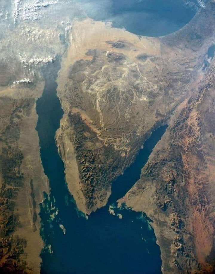 #Sinai_Egypt 🇪🇬