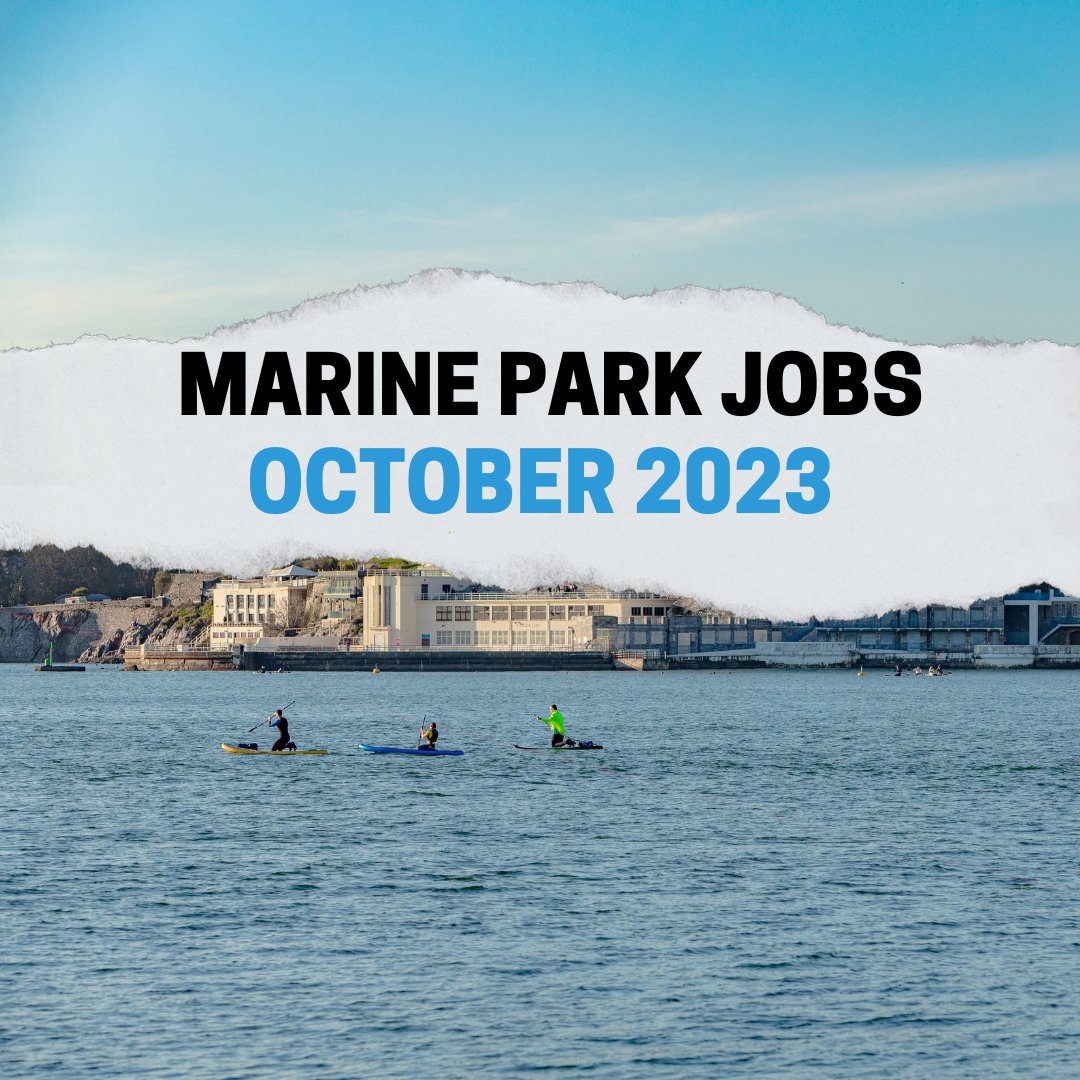 There are plenty of jobs available in and around the Plymouth Sound National Marine Park this month. So if you are looking for a new #career opportunity in Plymouth, check out our latest monthly blog here: 🔗 plymouthsoundnationalmarinepark.com/marine-jobs-in…