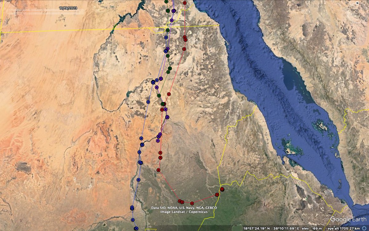 As a final treat, here are the tracks over Sudan in Google Earth. In 2022 we saw how Dudu (blue) 'hugged' the Nile over S Sahara. Our new @HQXSCN data for Julia (red), Gia (green) and Shotiko (purple) seem to confirm the Nile as a leading line at this stage of the migration. 4/4