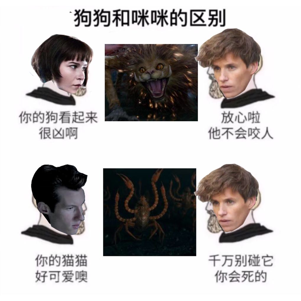 🎮🎮🎮🎮 #DracoMalfoy #HarryPotter #HermioneGranger #GGAD #Gryffindor   
Original: 莫桃黎