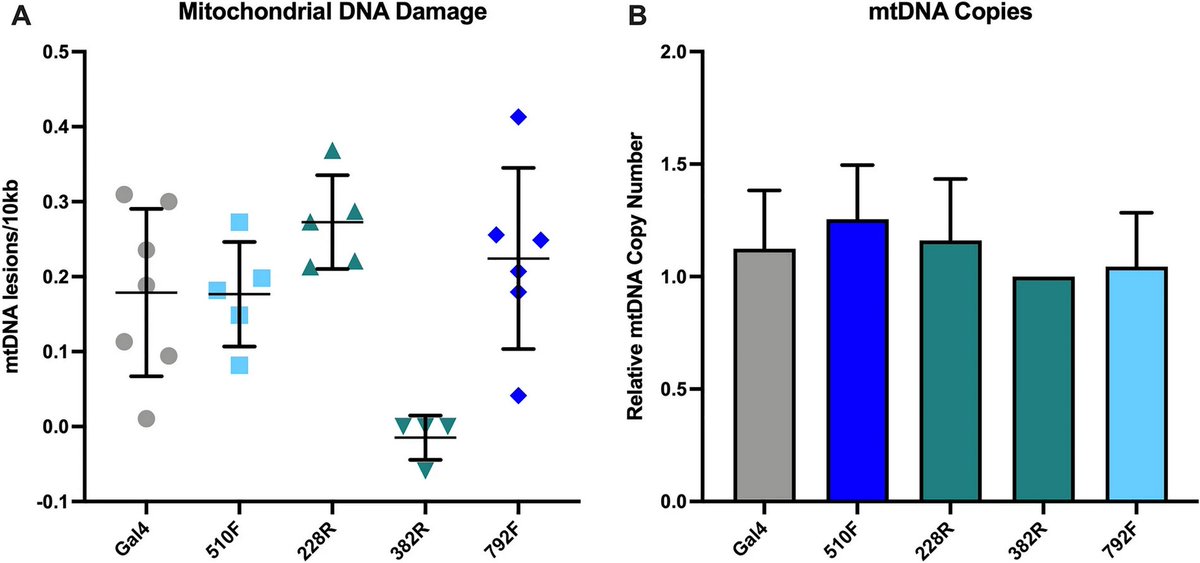 The Science of Parkinson's tweet media
