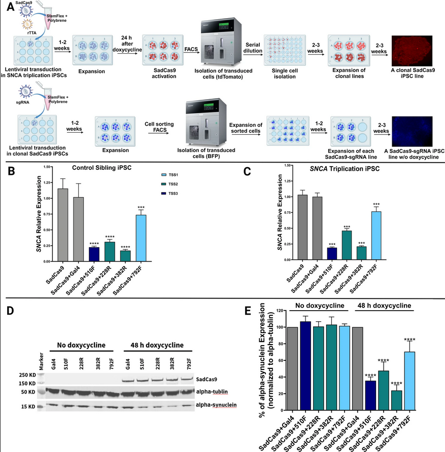 The Science of Parkinson's tweet media