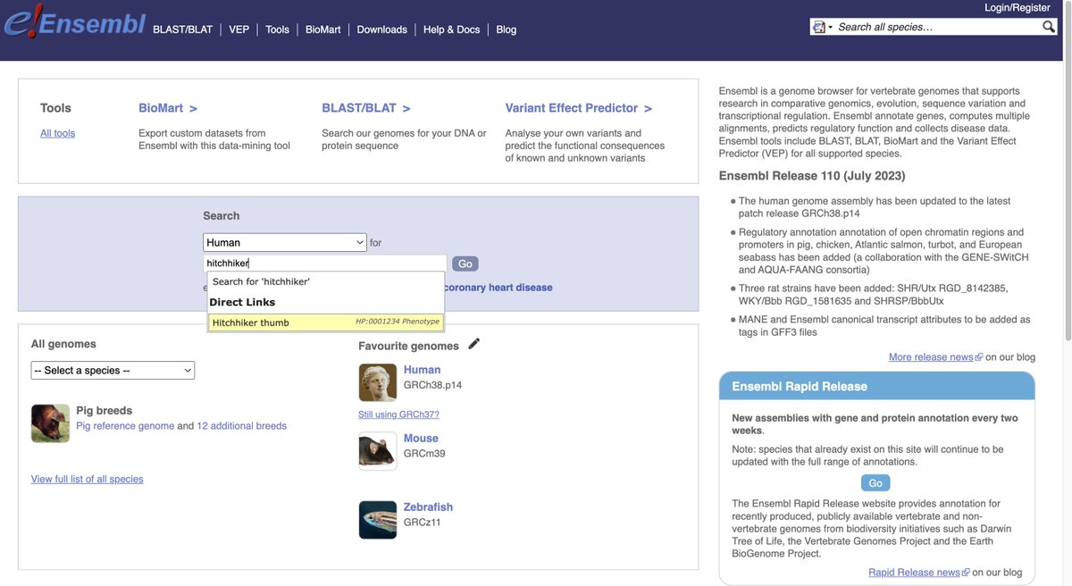 1/8
Have you got a #phenotype and you want to find out any associated genomic information about it? Did you know you can use #Ensembl to do so? We’ll show you how in this week’s #tweetorial! 🧬

#bioinf #genomics #EnsemblTraining