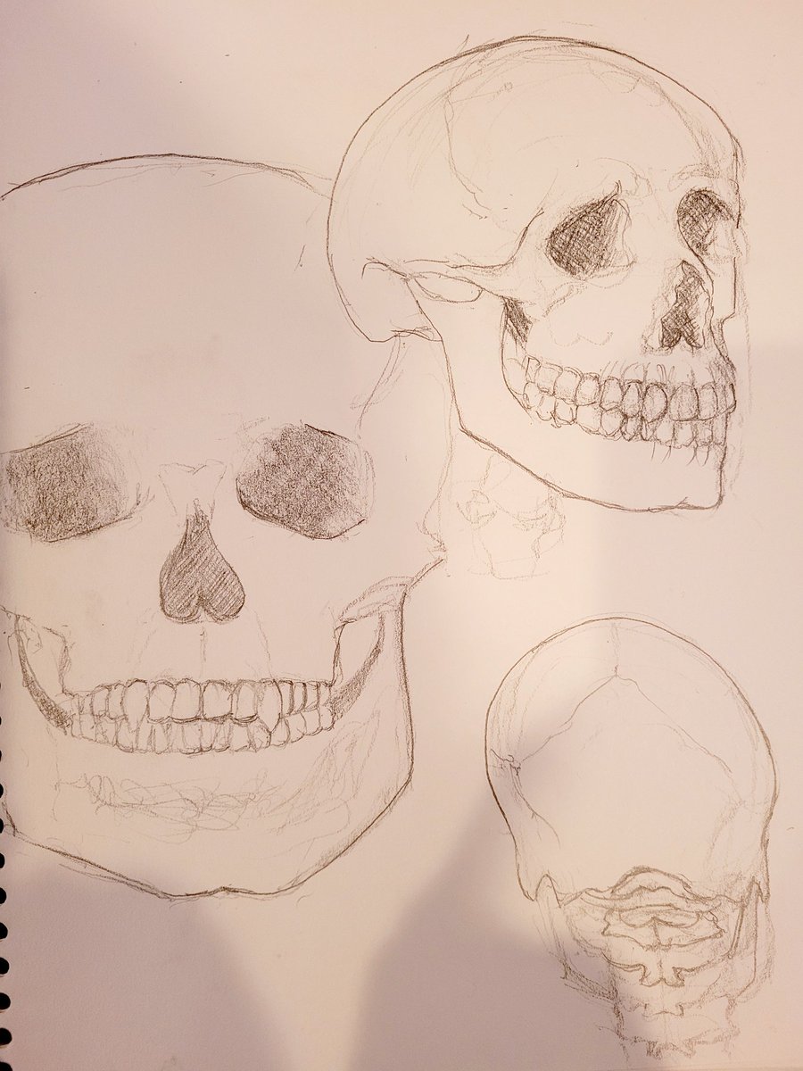 Storme_cloud's tweet image. Spoopy Skull Study.