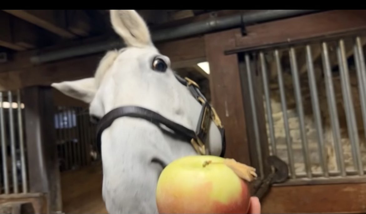 Maryland's Best tweet media