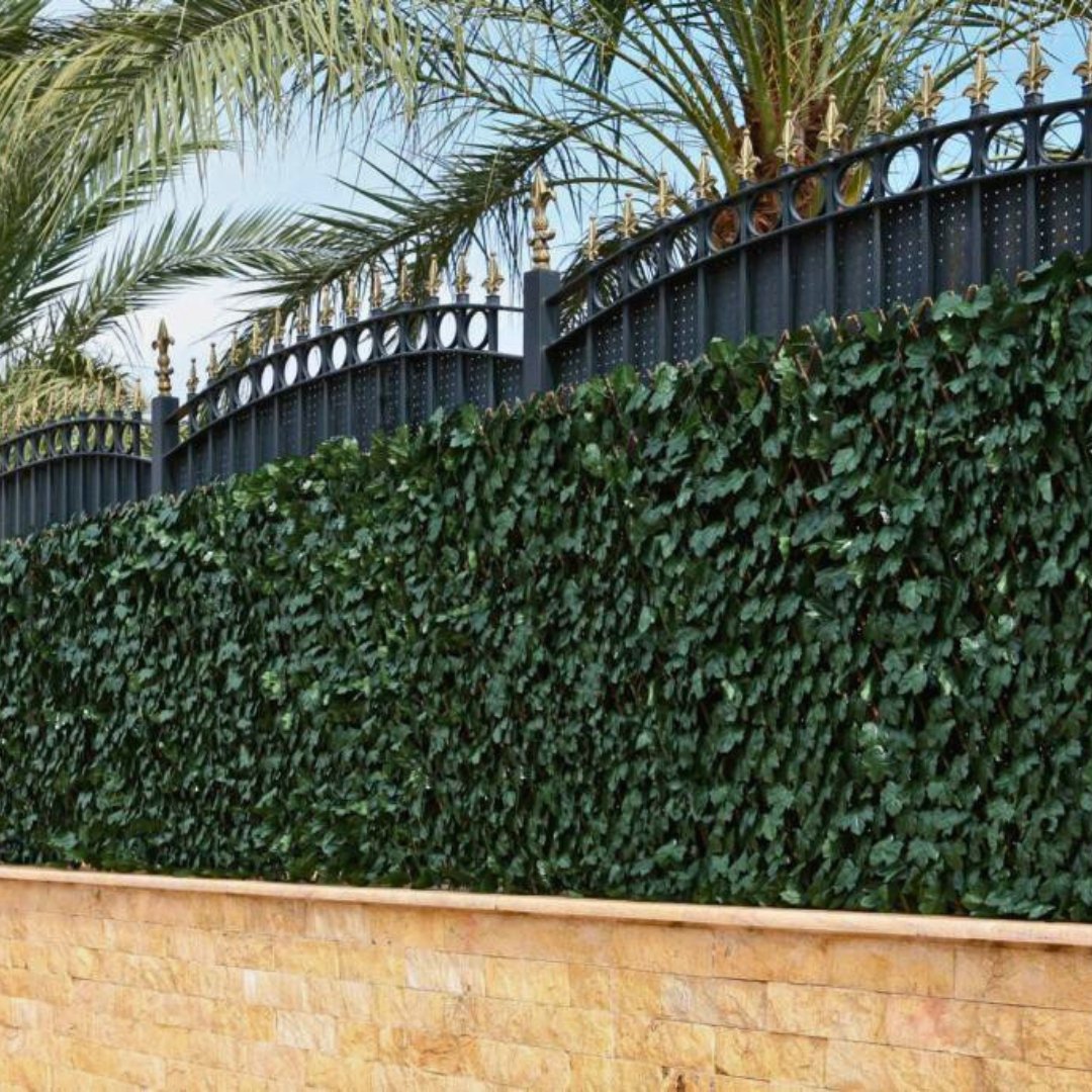 LMGreenFrance's tweet photo. 🌿 Transformez les espaces extérieurs en un havre de verdure avec notre treillis imitation feuilles de lierre !

🔗https://t.co/cRrMsRqMcx...

#francegreen #lmgreen #treillisextensible https://t.co/YWRtJkZNH2