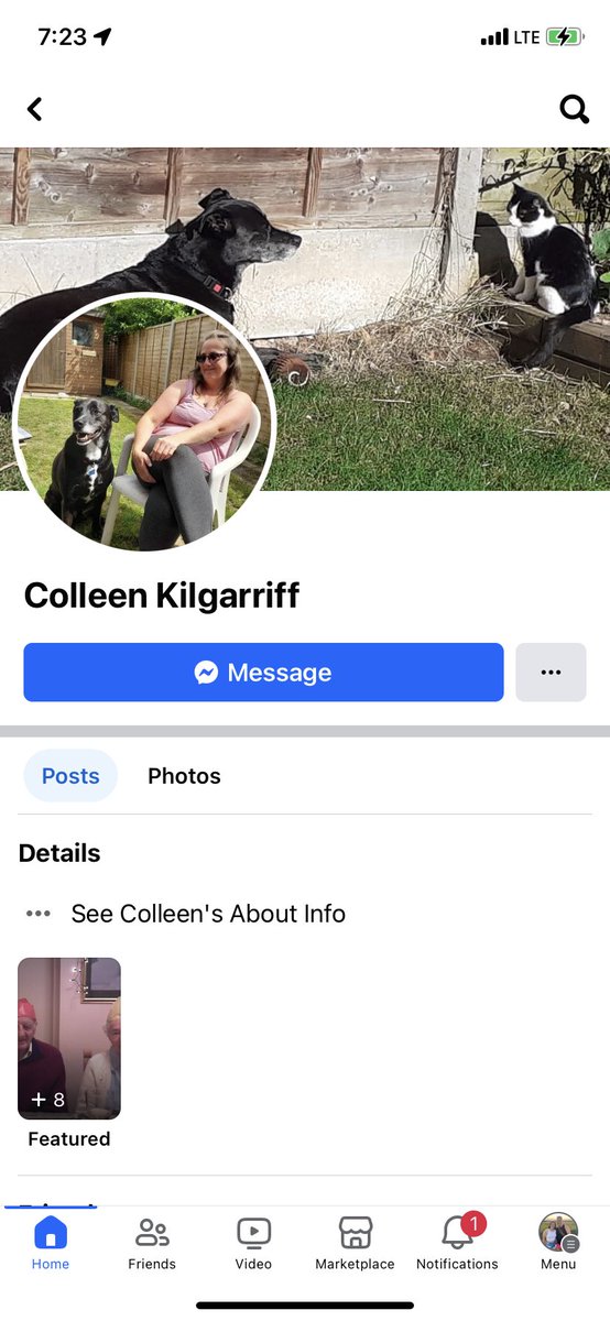 jmvrc277's tweet photo. @KarenKilgariff Colleen DOES have a barking dog AND a cat https://t.co/PcBxN5YIMr