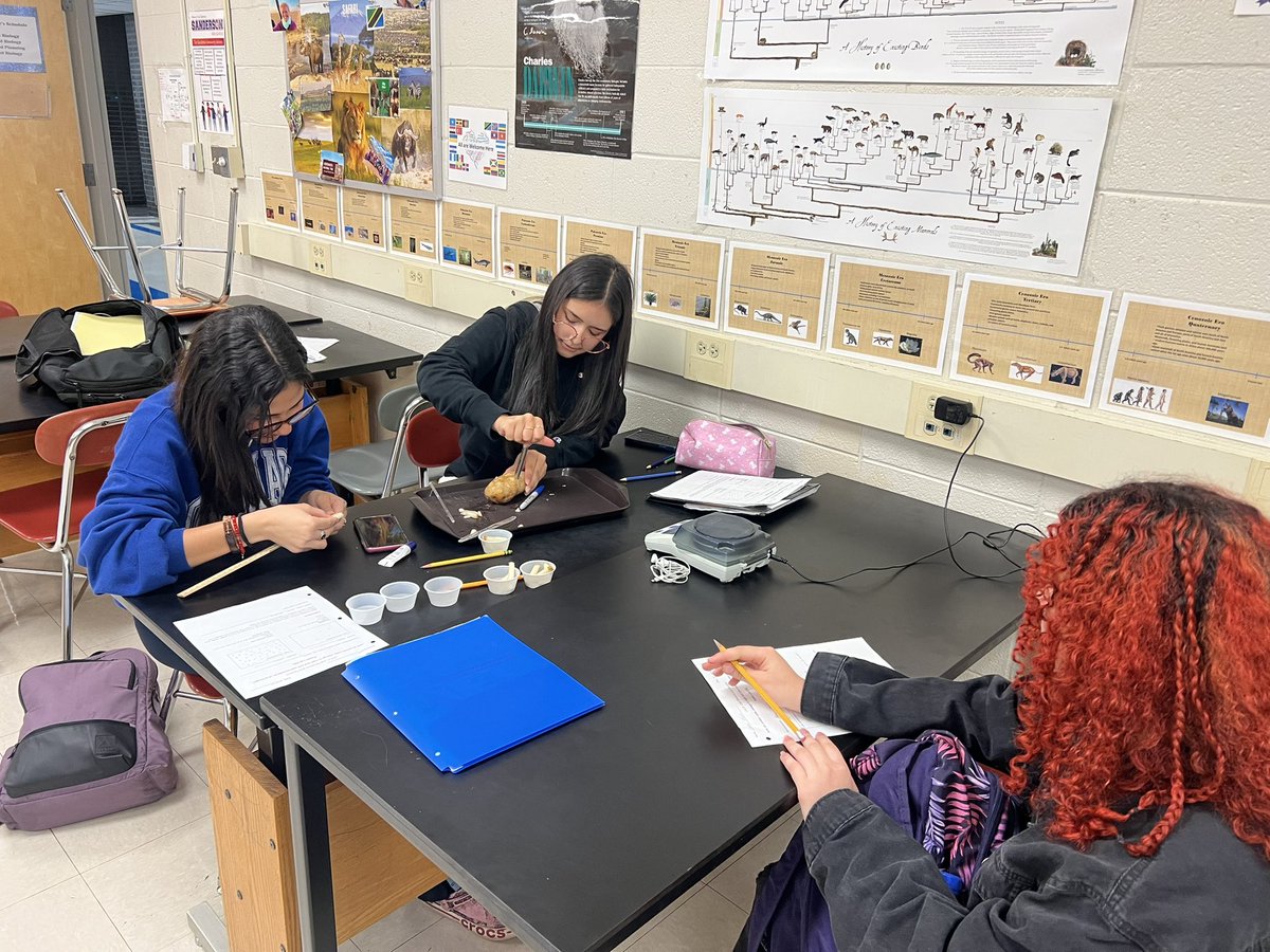 Joey Risso tweet media