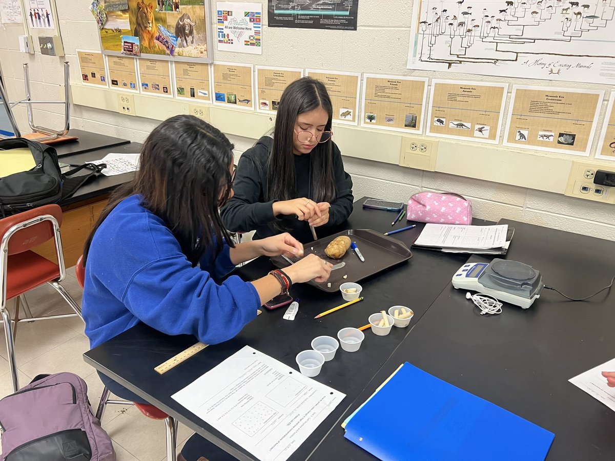 Joey Risso tweet media