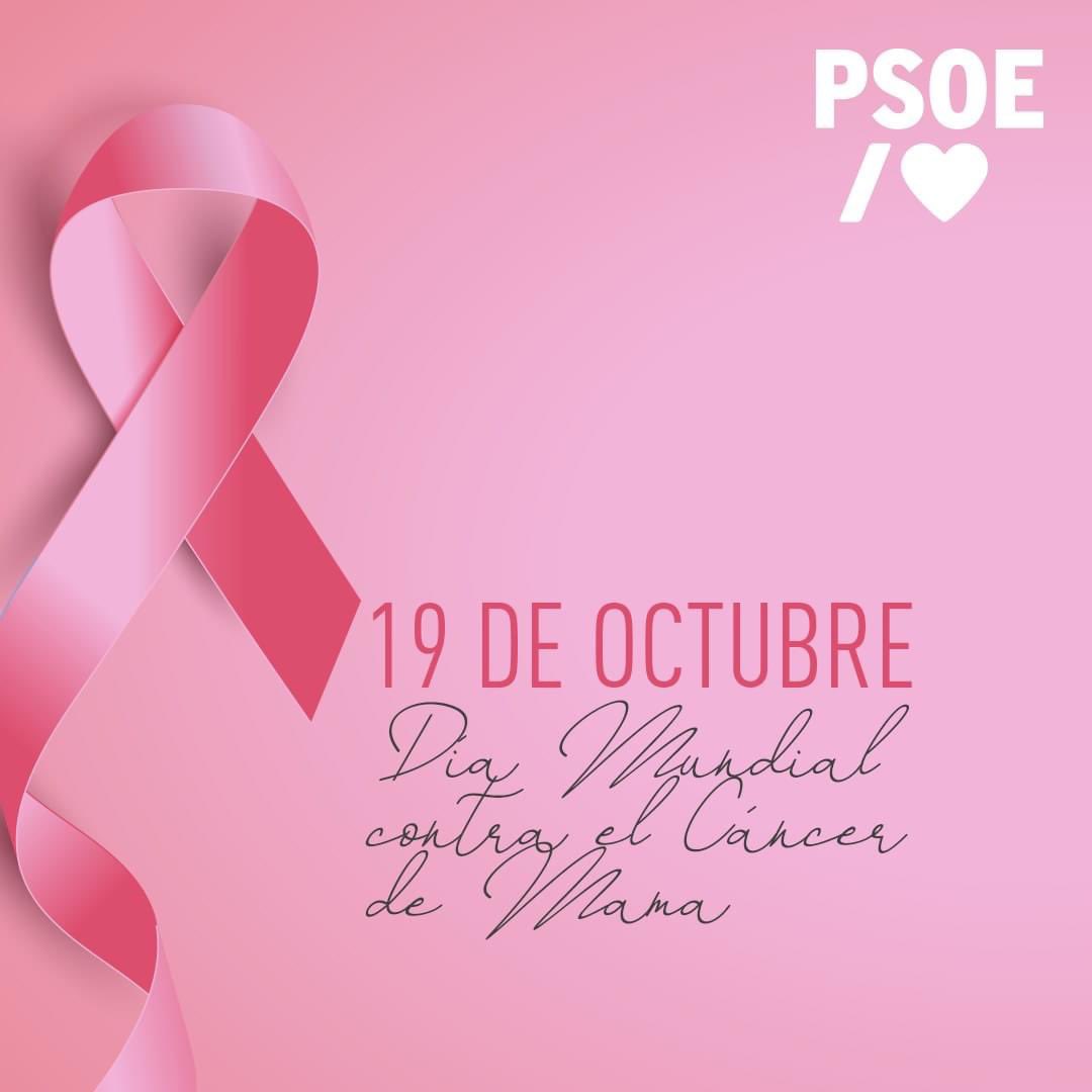 La investigación y la ciencia sí salvan vidas.

Hoy, en el #DíaMundialDelCáncerDeMama queremos poner en valor el papel de la inversión y la investigación. Porque gracias a ellos, cada vez son más las que podemos superar esta enfermedad.

Porque el #ElRosaEsMásQueUnColor 🩷