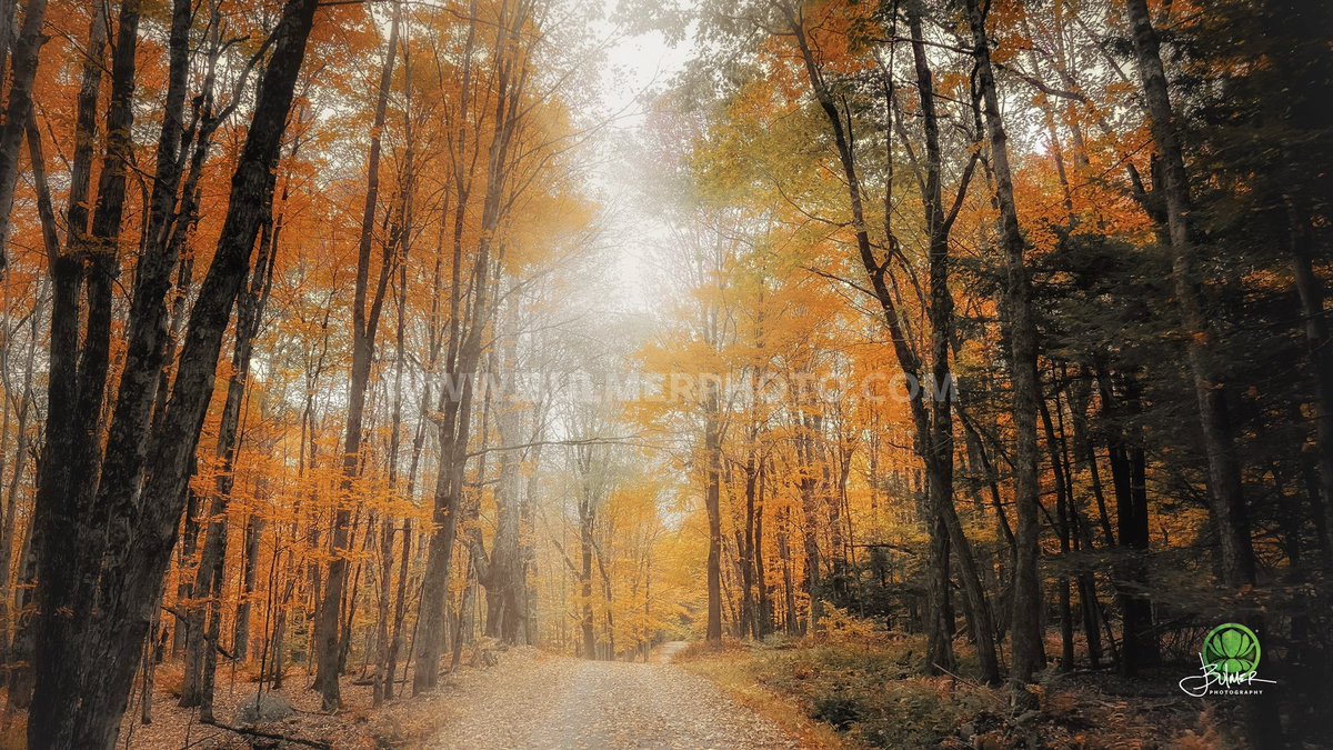🍁 Autumn Roads | Rural Rensselaer County, #upstatenewyork