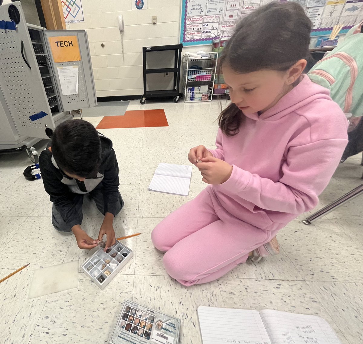 Rachael Morrison tweet media