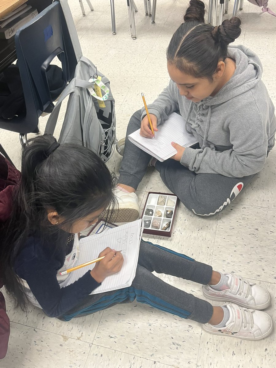 Rachael Morrison tweet media