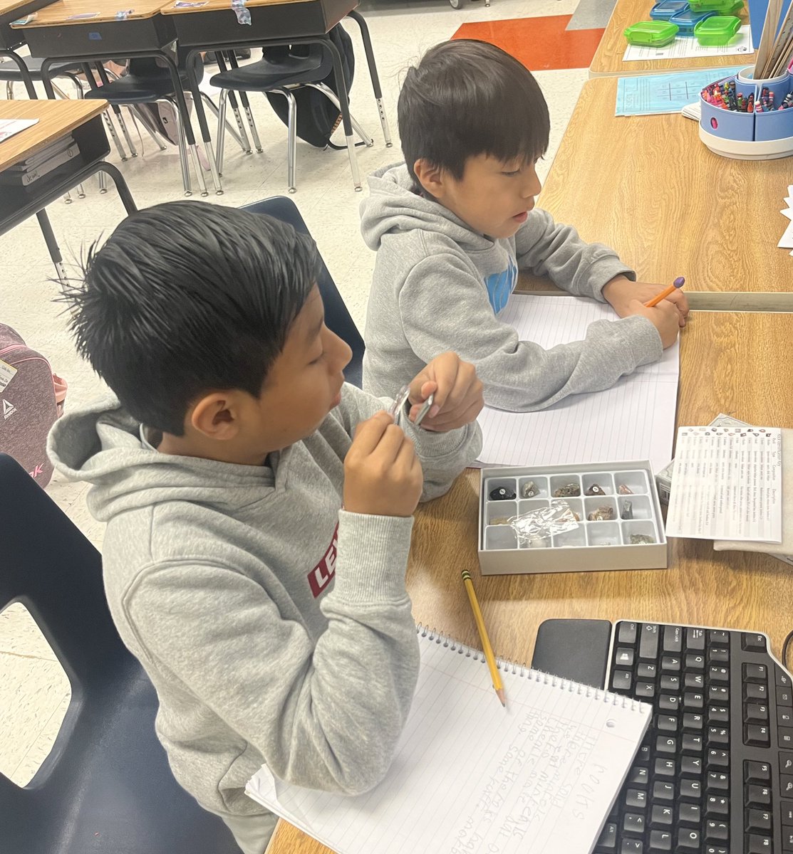 Rachael Morrison tweet media