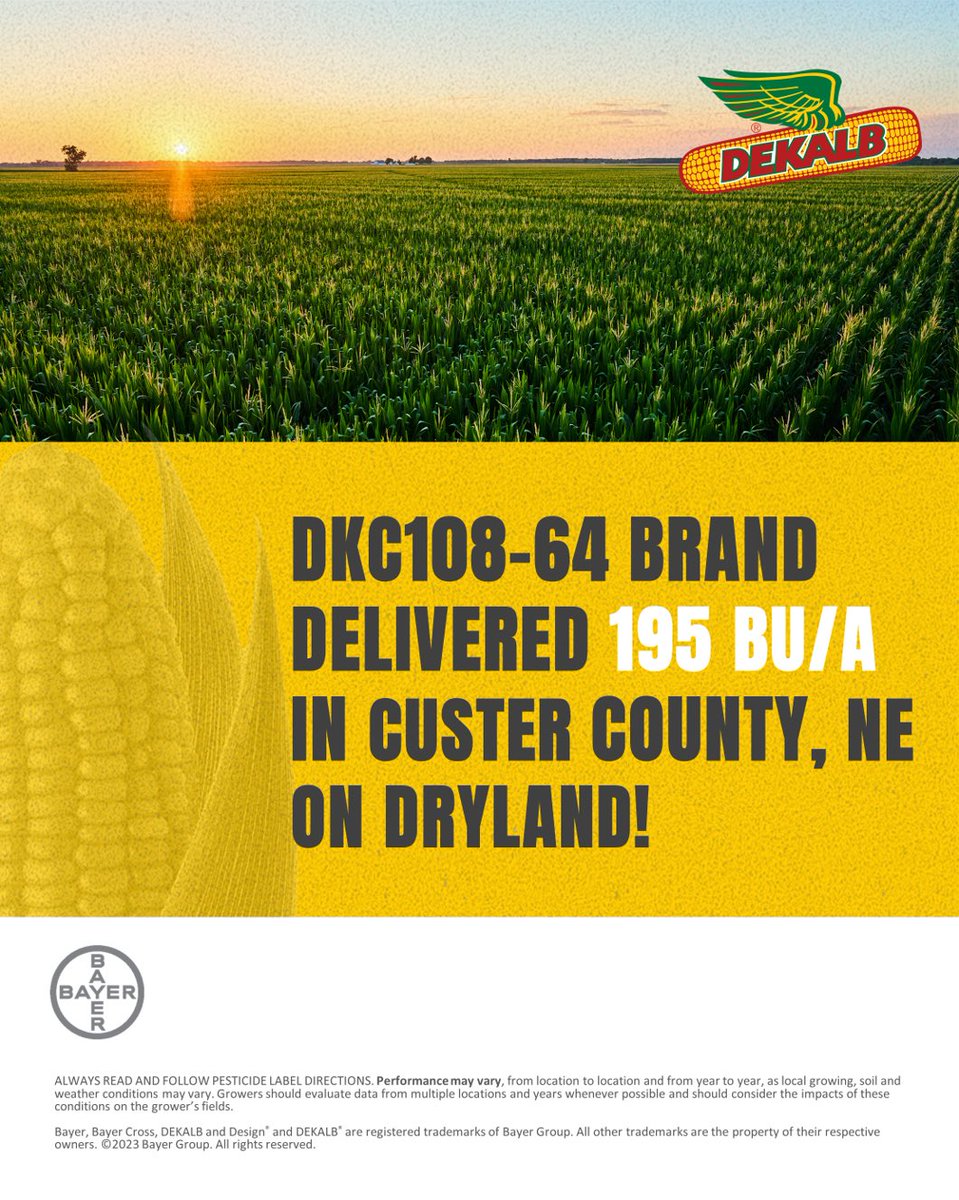 Another dryland plot with outstanding yields! 🤩
DKC108-64 with 195 bu/a
DKC61-40 with 193 bu/a
DKC105-33 with 184 bu/a

<a href="/bk_franzen/">Bryan Franzen</a> <a href="/cattleNcrops83/">Casey C.</a> <a href="/kblakem1/">Kyle Blakeman</a> <a href="/Asgrow_DEKALB/">DEKALB Asgrow Seed</a> #Bayer4NE #farming #agriculture #harvest23