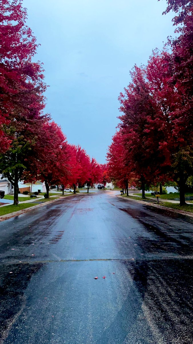 fischer_alivia's tweet photo. I’d run a mile everyday if this was my view.
#nodaysoff #puttingworkin #coachsaidso 
@DemariniBandits https://t.co/brUdSzdliu