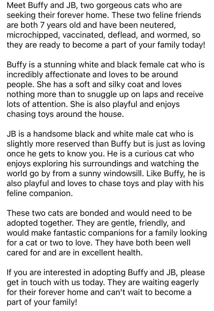If one cat isn’t enough (and let’s be honest, it never is!) how about a bonded pair! Really rooting for these two more mature moggies to find their #purrfect home this weekend! 🐈‍⬛💜

(I’m not sure what JB stands for but in his  smart little tux maybe it’s James Bond… 😸) - Holly