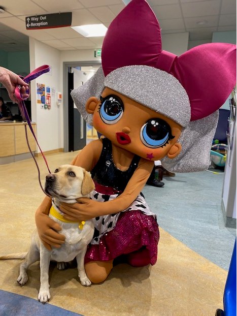 Voluntary Services (@voluntaryphu) on Twitter photo Today our lovely volunteer Sue shared this great photo of <a href="/PetsAsTherapyUK/">Pets As Therapy</a> dog Mabel in the <a href="/PaedsQah/">PompeyPaedsNursesQAH π</a> department!
We hope she had just as much fun as Diva doll did!
Thank you for always being excited to meet our patients, staff and dollies, Mabel! πΆπ Today our lovely volunteer Sue shared this great photo of <a href="/PetsAsTherapyUK/">Pets As Therapy</a> dog Mabel in the <a href="/PaedsQah/">PompeyPaedsNursesQAH π</a> department!
We hope she had just as much fun as Diva doll did!
Thank you for always being excited to meet our patients, staff and dollies, Mabel! πΆπ