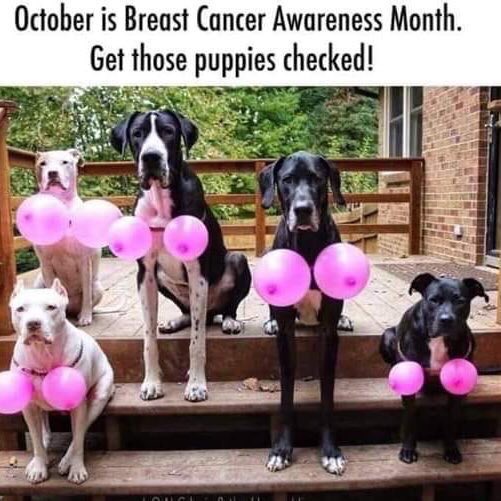 #WorldBreastCancerDay #BreastCancerAwareness @wearepreventBC @BreastCancerNow @BCCare 😳