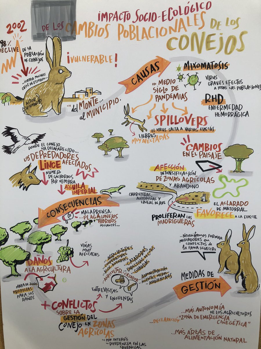 Miguel Delibes-Mateos tweet media