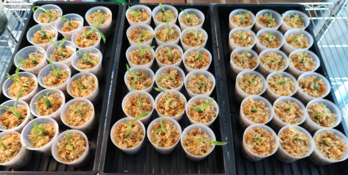 Bob Hydzik tweet media