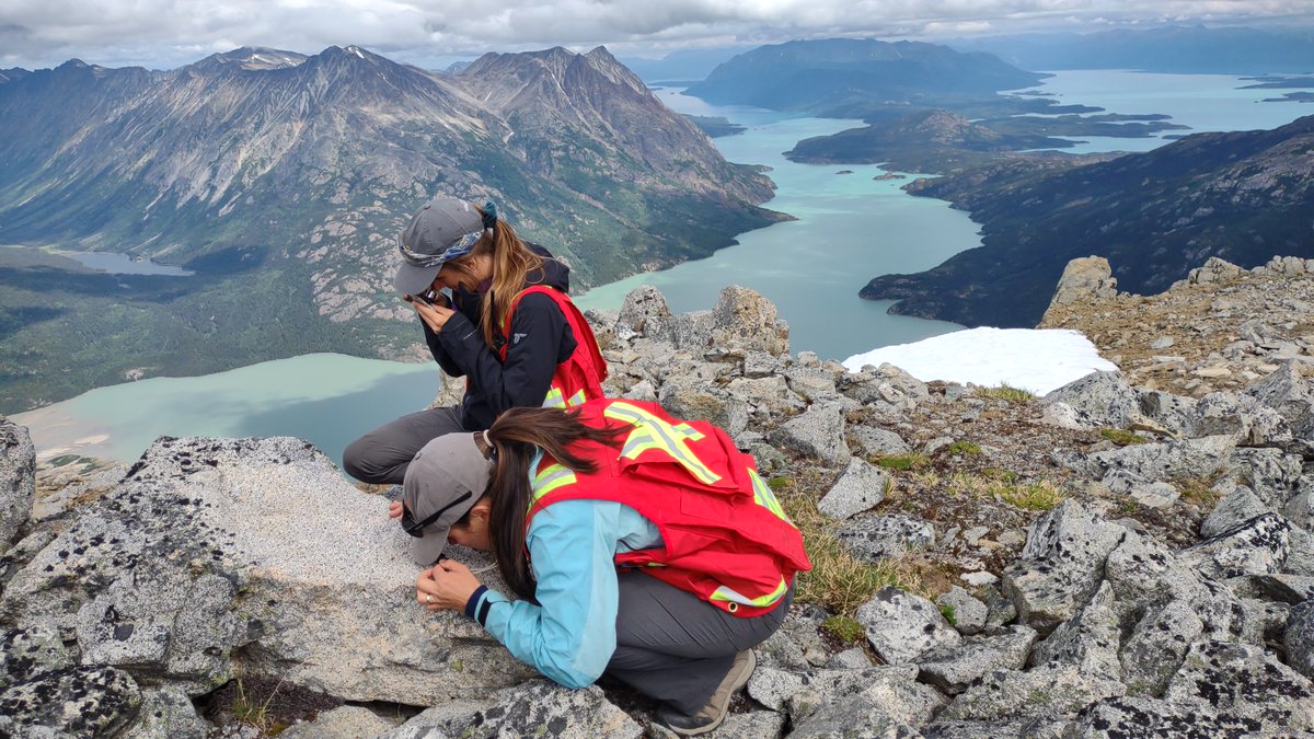 geology_bites's tweet photo. Just posted @c_mottram on unraveling low-temperature processes using challenging in situ calcite #geochronology.  She describes her finding of pulsed hydrothermal flow lasting ~40 My that concentrated gold in the Yukon, Canada.  #geochronology #geology #portsmouthuni https://t.co/Ye5H7mLz4t