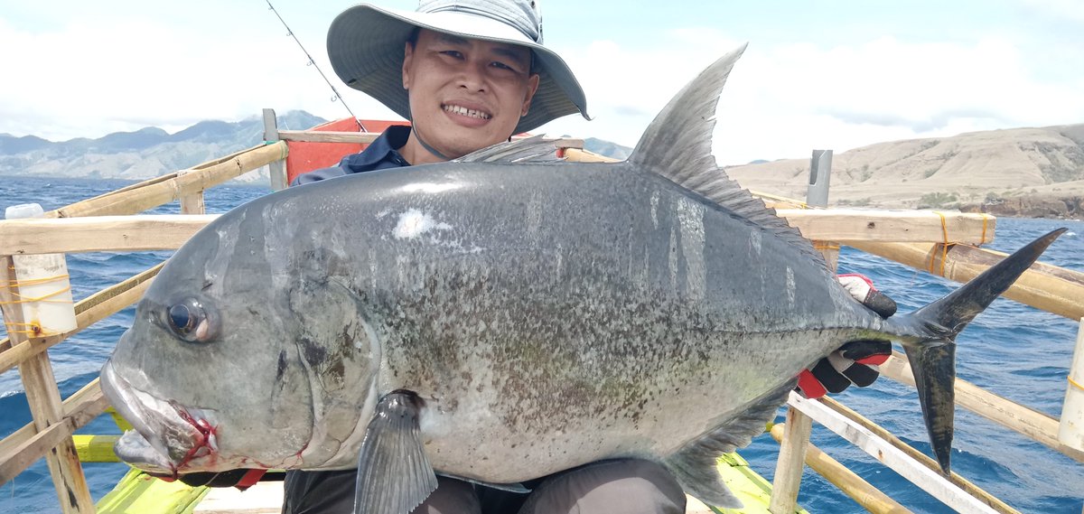 with us all your dreams will be answered, resistance that really requires extra energy. a battle that took a long time in conquest. Do you want to try and feel the sensation of resistance and attraction of marine predators at my place.