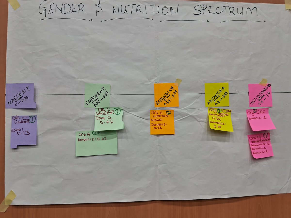 alida_laure's tweet photo. Apres les échanges, place aux scores.
Les structures se sont vu migrer d'un niveau (naissance, emergence, en extension, avancé, institutionnel) à un autre que ce soit dans le domaine du #genre que de la #nutrition.

#IGNITEforChange #BurkinaFaso https://t.co/83oPzCtD8q