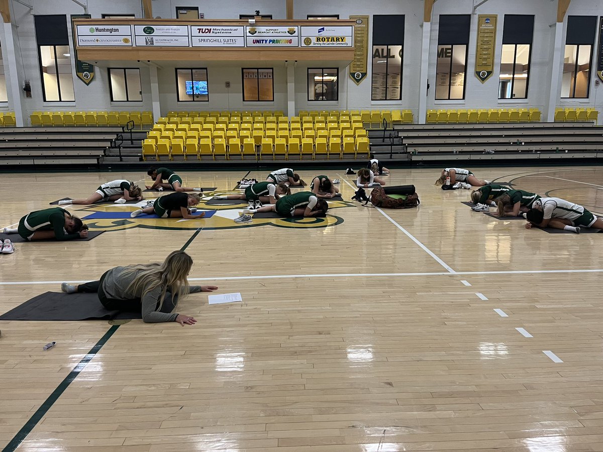 Saint Vincent Women’s Basketball tweet media