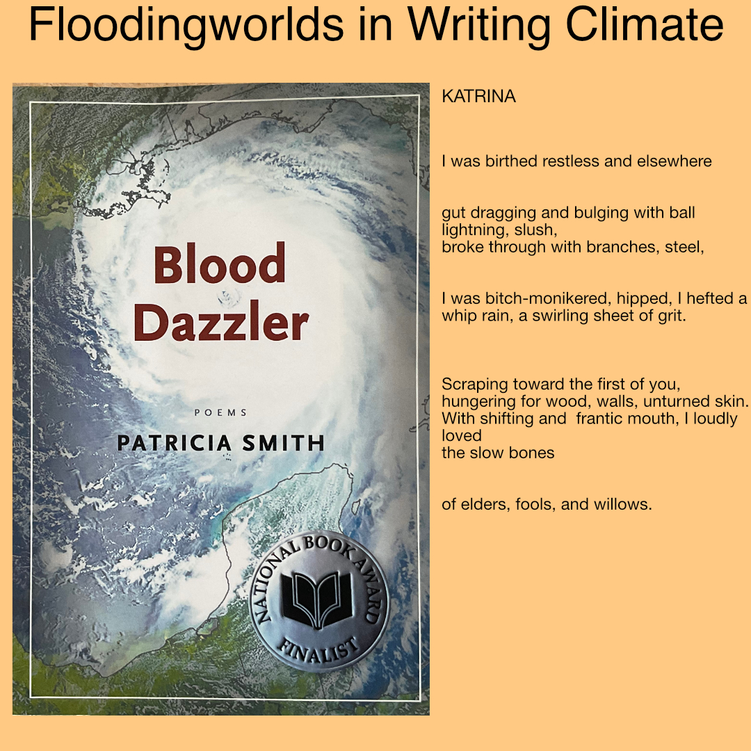 writing_climate's tweet photo. #floodingworlds #climateX #climatefiction PATRICIA SMITH / Blood Dazzler 2008 #HurricaneKatrina traf zumeist die afroamerikanische Bevölkerung und brachte einen tiefen Rassismus im System zutage #PatriciaSmith dokumentiert lyrisch und heilt weiblich, in der Absoluten des Sturms https://t.co/EdckimY8AL