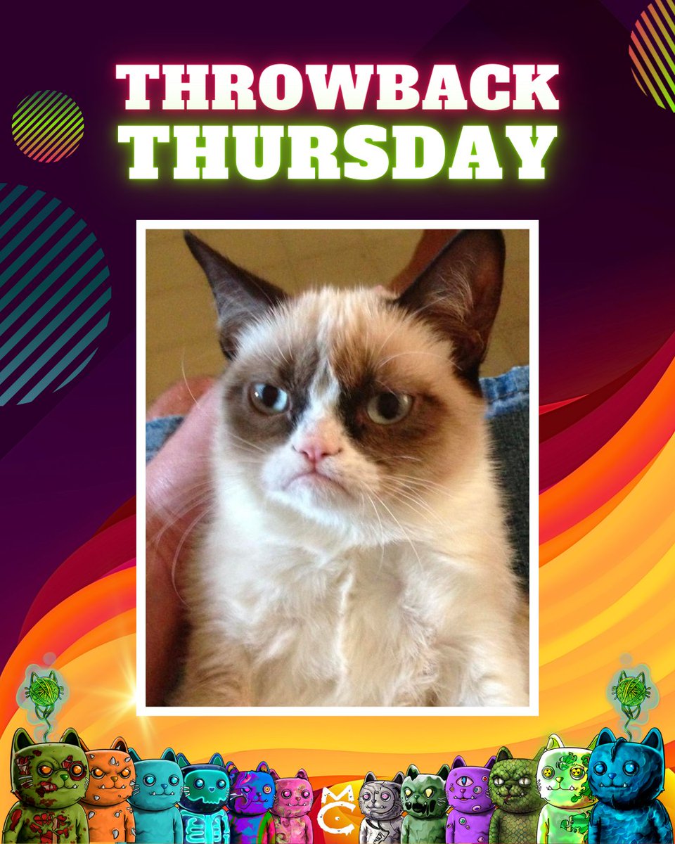 mutantcatsDAO's tweet photo. Goooooood morning everybody! It's Throwback Thursday. Let's all have a better day than this little dude! https://t.co/V1BeeivqL6