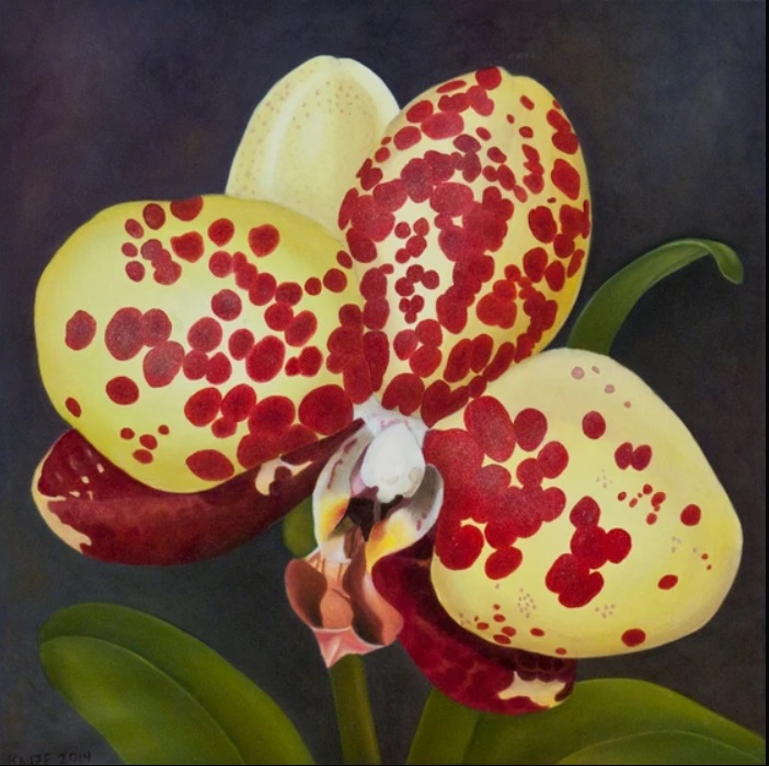 WomensArtForAll's tweet photo. Christine #Knize (@orchidpainterartist) •Spot• #WomensArt #ArtByWomen #WomenArtists https://t.co/9JOSdhdRaC