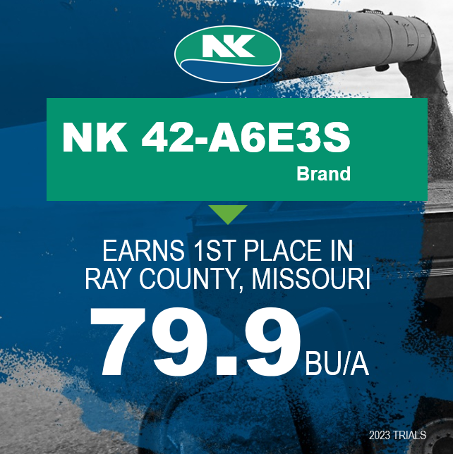 NK_Missouri's tweet photo. π₯This NEW NK Soybean is definitely one of our favorites! Ask your local NK Seeds retailer about NK 42-A6E3S soybean performance. It's a clear winner in Missouri again and again!
#NKHarvest23 #SuccesswithNK #Harvest23 @NKSeeds https://t.co/xawadzYkZJ