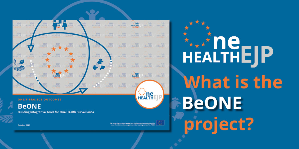 📢 Our latest #dissemination project impact brochure is available! If you are interested in #foodandwaterbornediseases surveillance, have a look at the #BeONE project #outcomes! 👇👇 ow.ly/refr50PY1y4