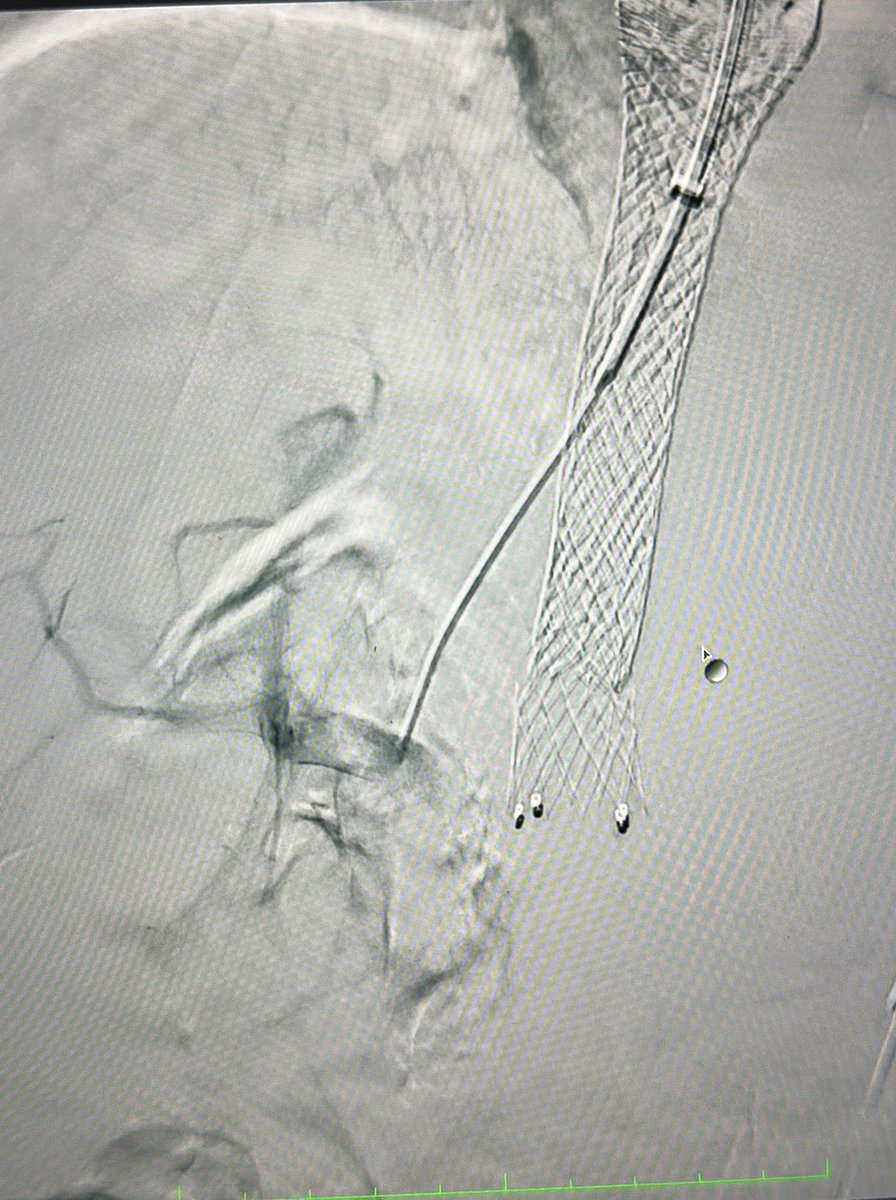 Lenon D'Souza, MD tweet media