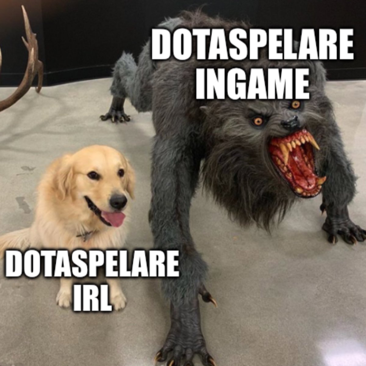 Vilka kommer förbi på lördag? 👀
