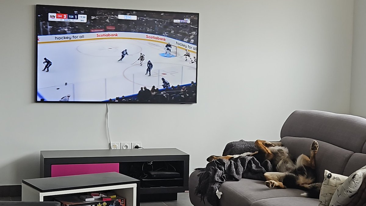 Avec l'arrivée de la #NHL sur <a href="/beinsports_FR/">beIN SPORTS</a> mon chien essaye toujours de comprendre les règles...<a href="/nhlextra_/">NHLextra</a>
