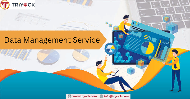 Triyockbpo's tweet photo. Are you tired of struggling with database management? Say hello to hassle-free data solutions with Triyock🚀💻

#Triyock #DatabaseManagement #Efficiency #outsourcing #bpo

Visit: https://t.co/PEqNncZbIf https://t.co/rpLGcxhNwu