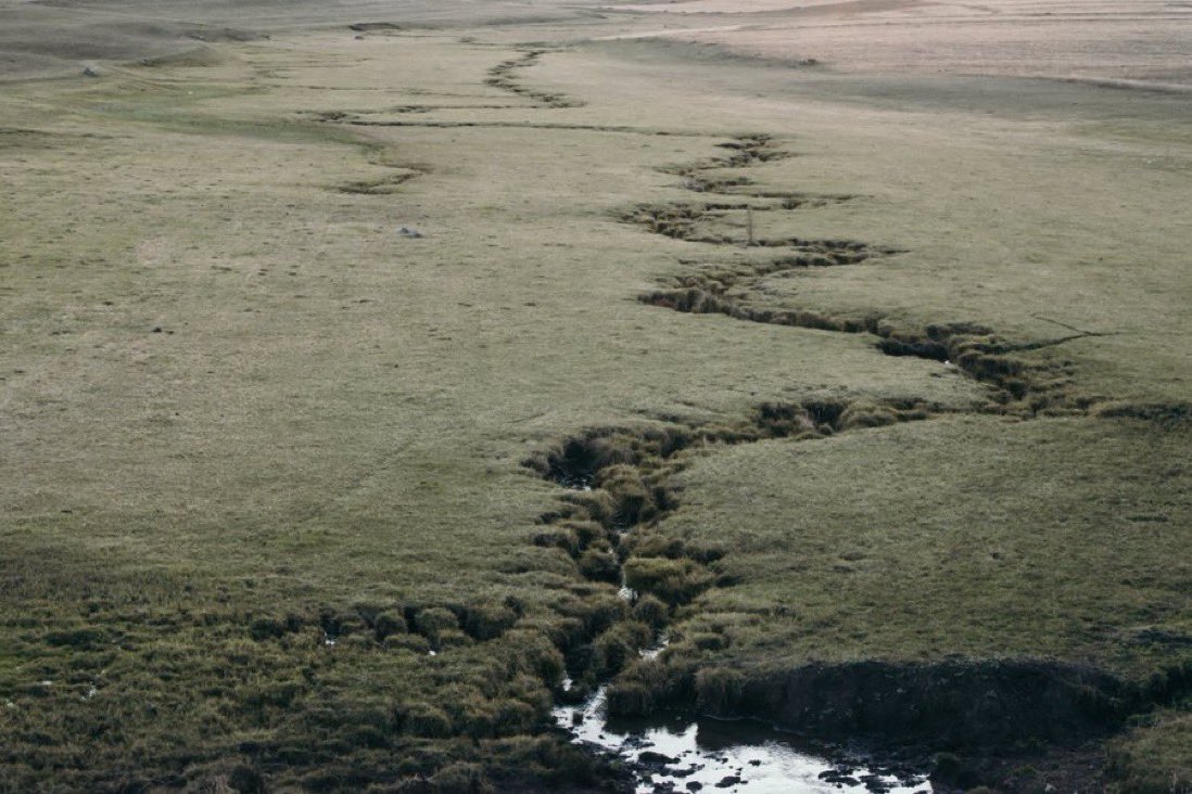 GE #nftfam 

The Road of Life by <a href="/art_morozova/">Olena Morozova Art</a> 

A metaphor for the road of life that my sister and I walked together for a while. Until my sister died. But still life goes on and I move on without her on my path.